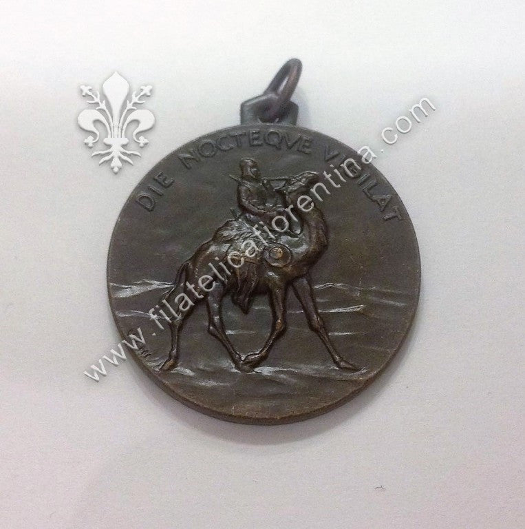 Medaglia del 6° Gruppo Sahariano della Tripolitania