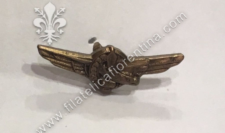 Brevetto da Pilota RSI