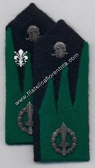 Mostrine Reparti Moschettieri delle alpi con teschio metallico