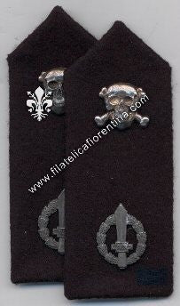 Mostrine da Ufficiale dei Reparti Arditi