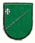 Flash 10° special forces (verde)