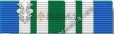 Joint Service Commendation Medal (Service: All Service)