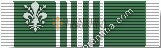 Army Commendation Medal (Service: Army)