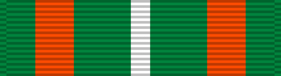 Coast Guard Achievement Medal (Service: Coast Guard)