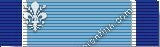 Silver Lifesaving Medal (Service: All Service and Civilians)