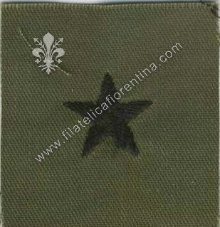 Gradi generale 1 stella in stoffa nero su verde (in coppia)