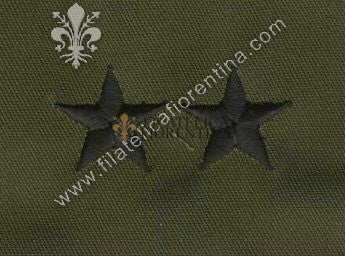 Gradi generale 2 stelle in stoffa nero su verde (in coppia)