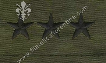 Gradi generale 3 stelle in stoffa nero su verde (in coppia)