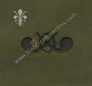 BOS ufficiale chimici in stoffa nero su verde (in coppia)