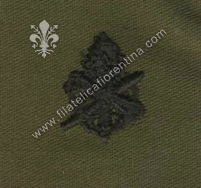 BOS ufficiale affari civili in stoffa nero su verde (in coppia)