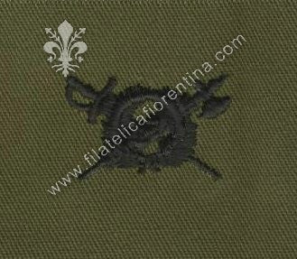 BOS ufficiale inspector general in stoffa nero su verde (in coppia)