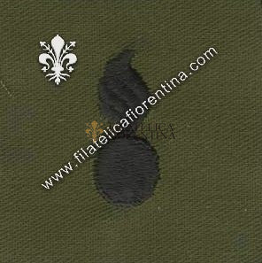 BOS ufficiale ordinance in stoffa nero su verde (in coppia)