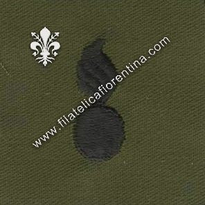 BOS ufficiale ordinance in stoffa nero su verde (in coppia)