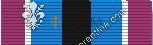 Humanitarian Service Medal (Service: All Services)