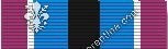 Humanitarian Service Medal (Service: All Services)