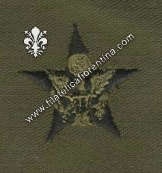 BOS uff.general staff in stoffa nero su verde (in coppia)