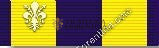 Naval Expeditionary Medal (Service: Navy)