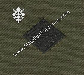 BOS uff.finanze in stoffa nero su verde (in coppia)