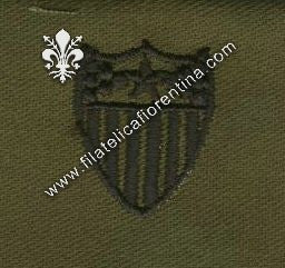 BOS uff. adjutant general in stoffa nero su verde (in coppia)