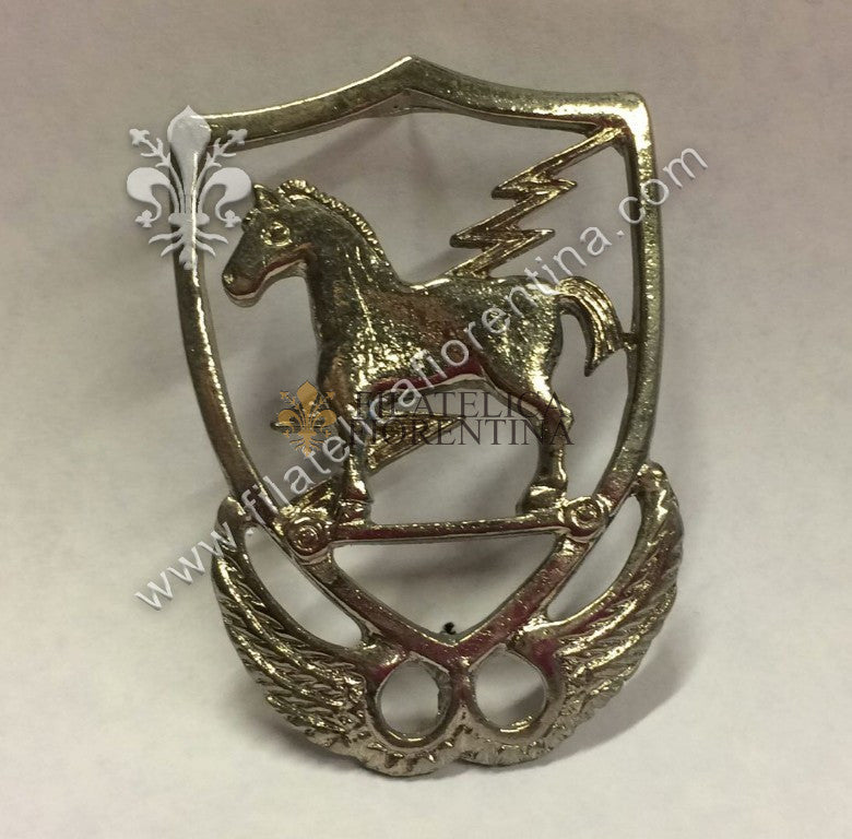 10° special force group