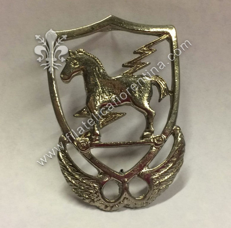 10° special force group