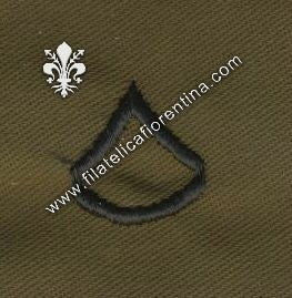 Gradi soldato 1° classe colletto  in nero su verde (in coppia)