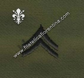Gradi caporale colletto in nero su verde  (in coppia)