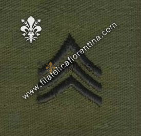 Gradi sergente colletto in nero su verde  (in coppia)