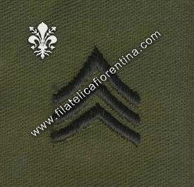 Gradi sergente colletto in nero su verde  (in coppia)