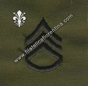 Gradi sergente di stato maggiore colletto in nero su verde  (in coppia)