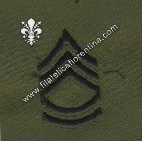 Gradi sergente di 1° classe colletto in nero su verde (in coppia)