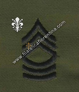 Gradi sergente istruttore capo colletto in nero su verde  (in coppia)