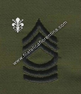 Gradi sergente istruttore capo colletto in nero su verde  (in coppia)