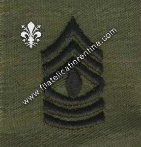 Gradi 1° sergente colletto  in nero su verde (in coppia)