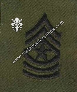 Gradi sergente maggiore - da colletto  in nero su verde (in coppia)