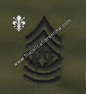 Gradi sergente maggiore comandante - da colletto  in nero su verde (in coppia)