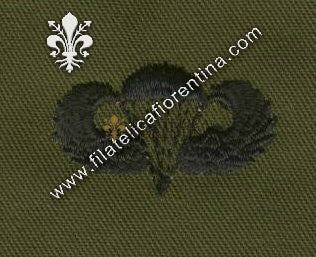 Brevetto paracadutista basic in stoffa nero su verde