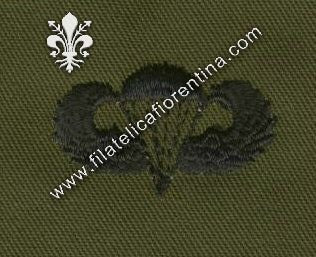 Brevetto paracadutista basic in stoffa nero su verde