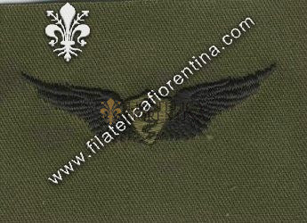 Flight surgeon in stoffa nero su verde
