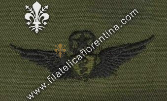 Flight surgeon master in stoffa nero su verde