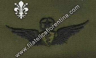 Flight surgeon master in stoffa nero su verde