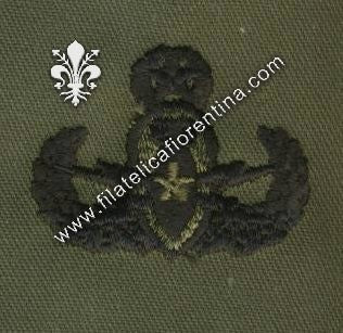 Explosive ordnance disp.master in stoffa nero su verde