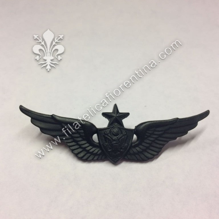 Aircraft crewman senior in metallo nero per uniforme da combattimento