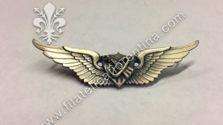 Brevetto pilota astronauta basic