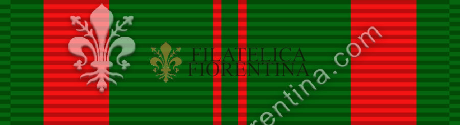 Civil Actions Service Medal 1st class.