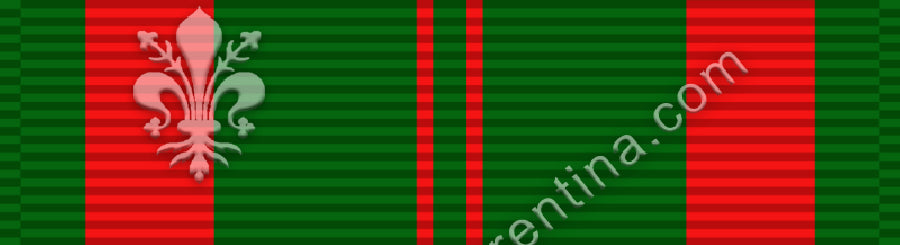 Civil Actions Service Medal 1st class.