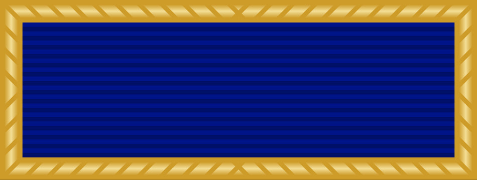 Presidential Unit Citation (PUC)