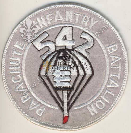 542 parachute infantry  battalion