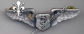 Brevetto flight surgeon