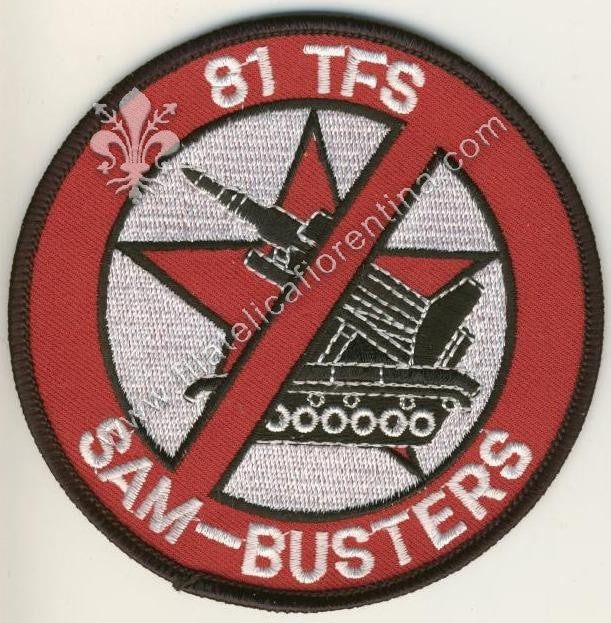 "Sam-busters 81 TFS"